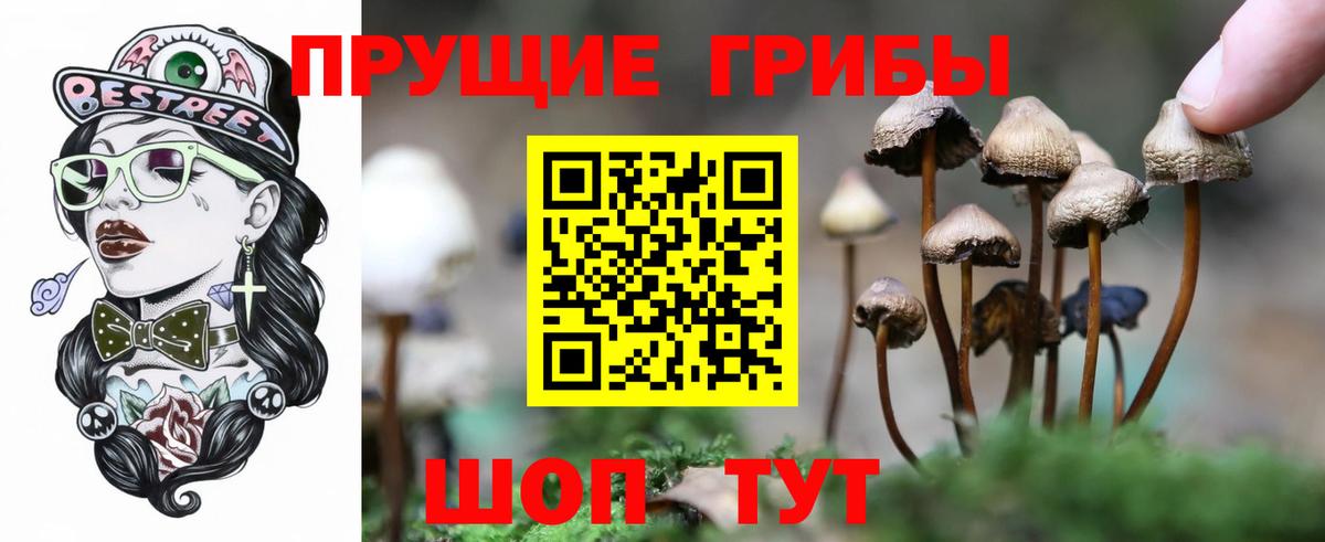 Нижний Тагил  Галлюциногенные грибы ЛСД  Псилоцибиновые грибы Magic Shrooms  Вход с VPN 