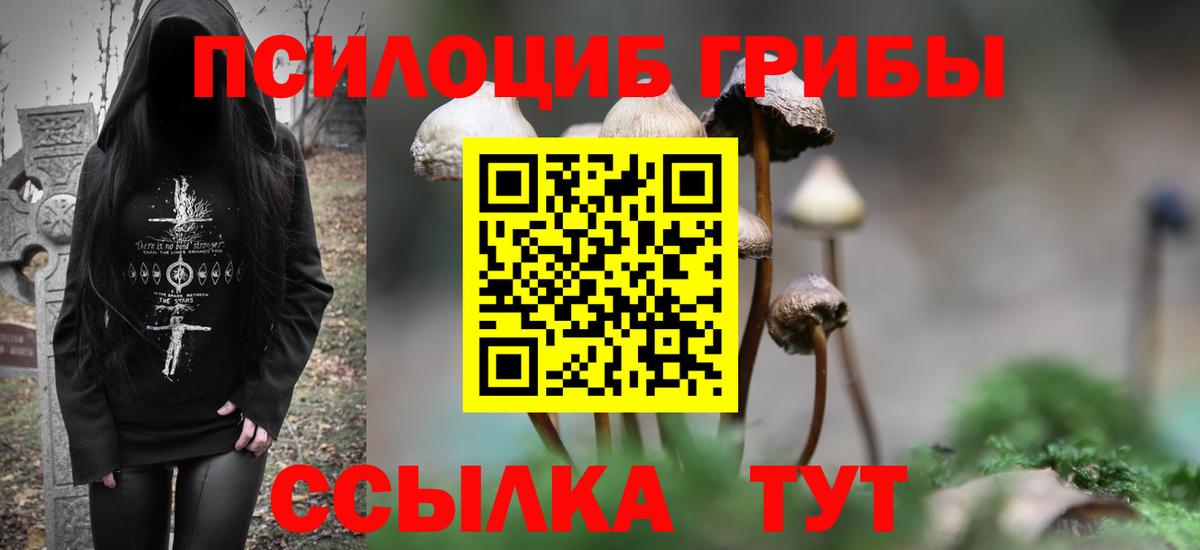 Галлюциногенные грибы Magic Shrooms Нижний Тагил