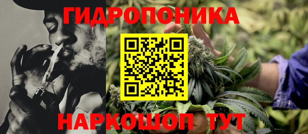 Конопля OG Kush Нижний Тагил